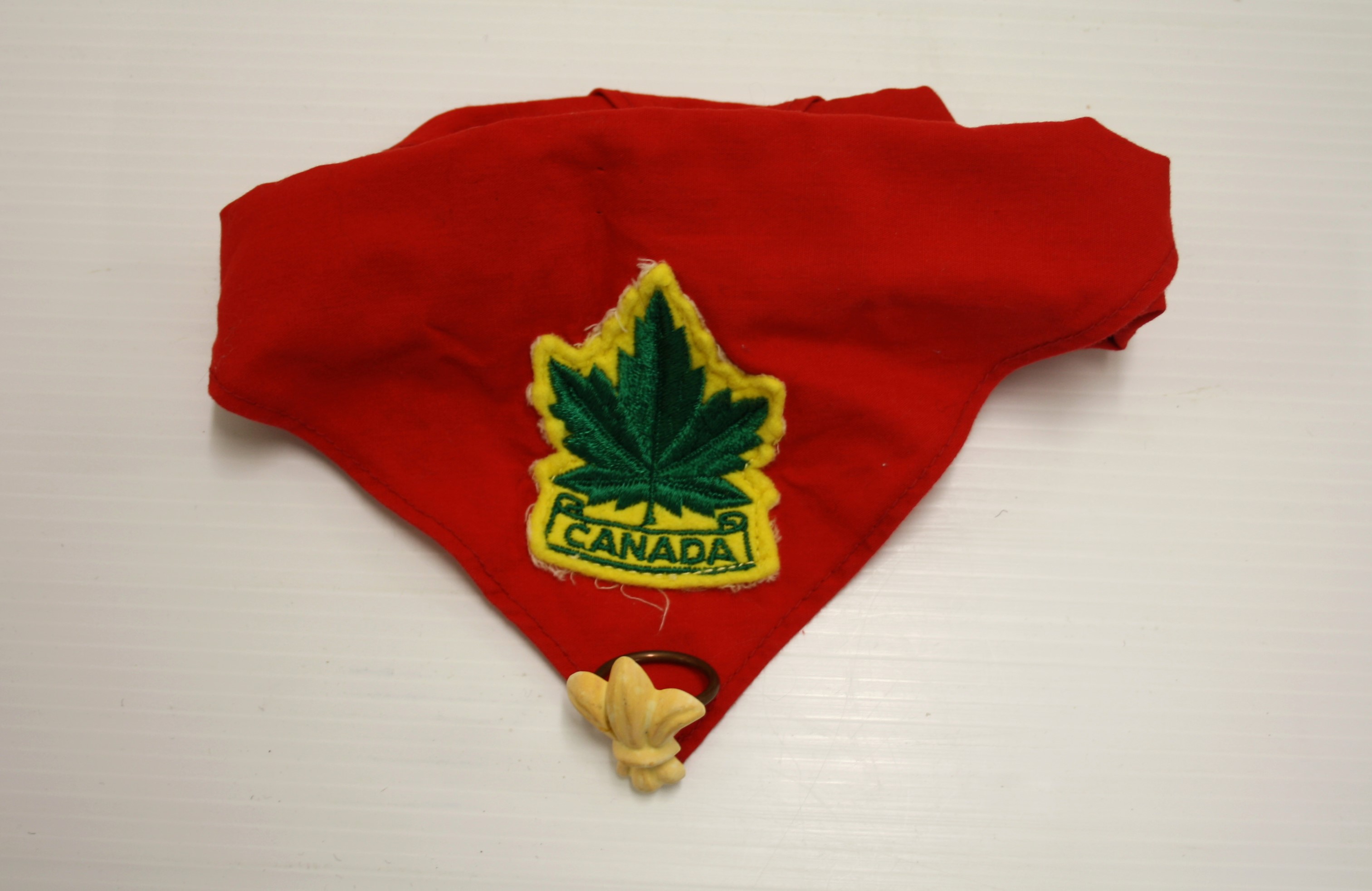 Red Necker with Fleur de Lis Woggle