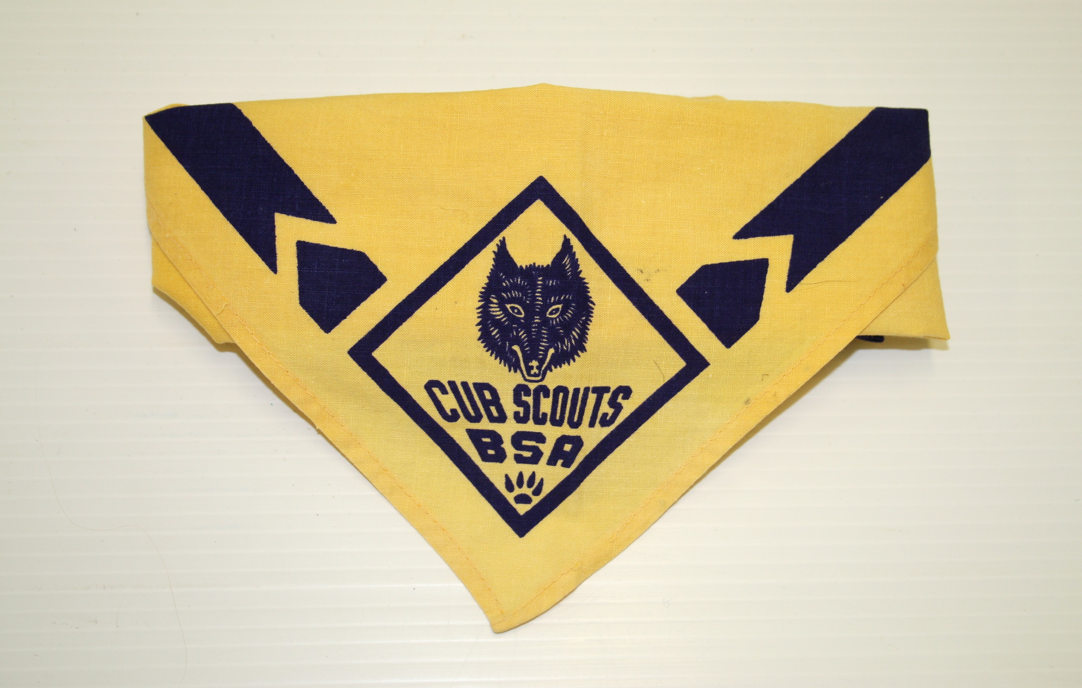Cub Scouts BSA Necker