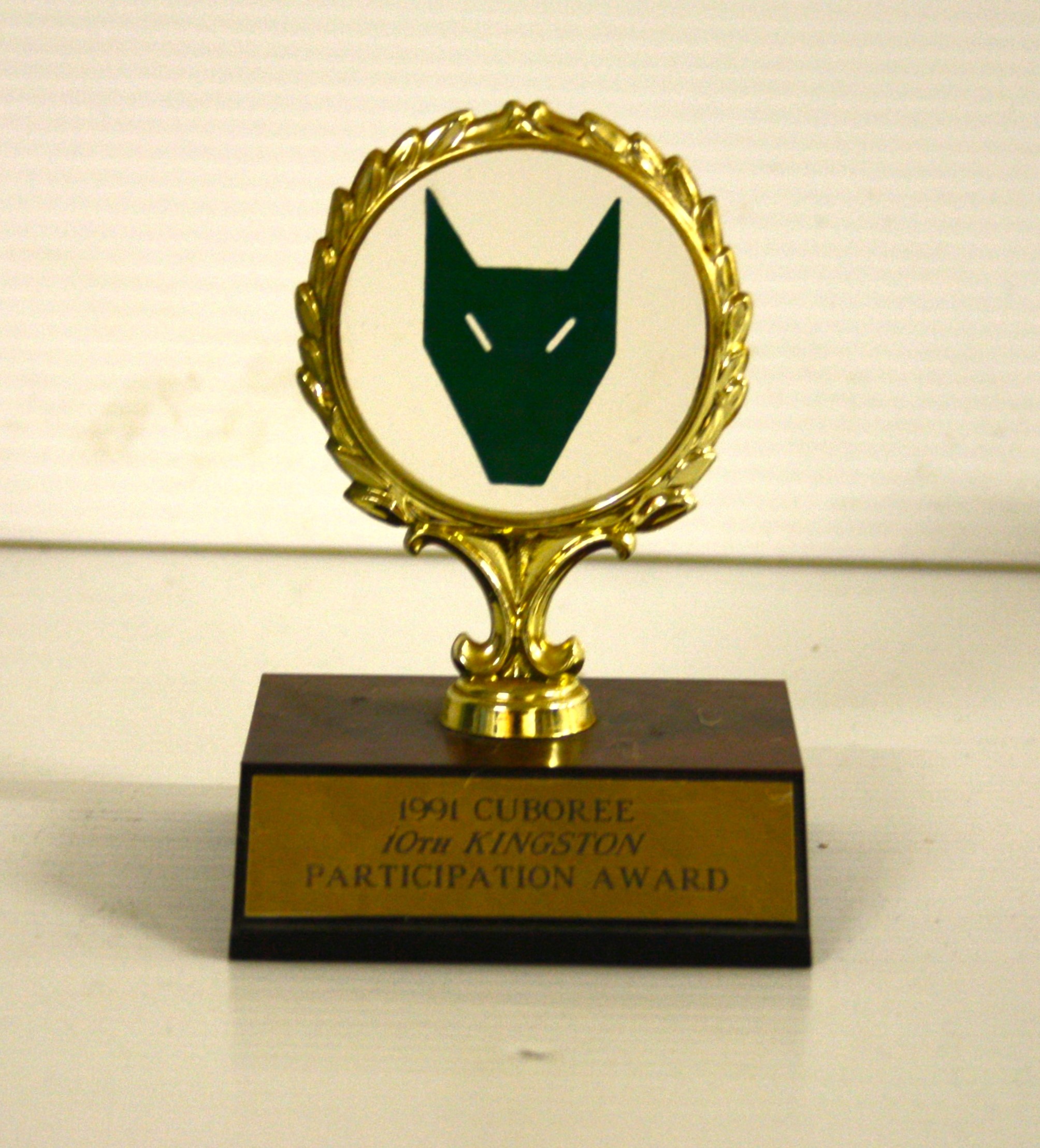 1991 Cuboree Participation Award
