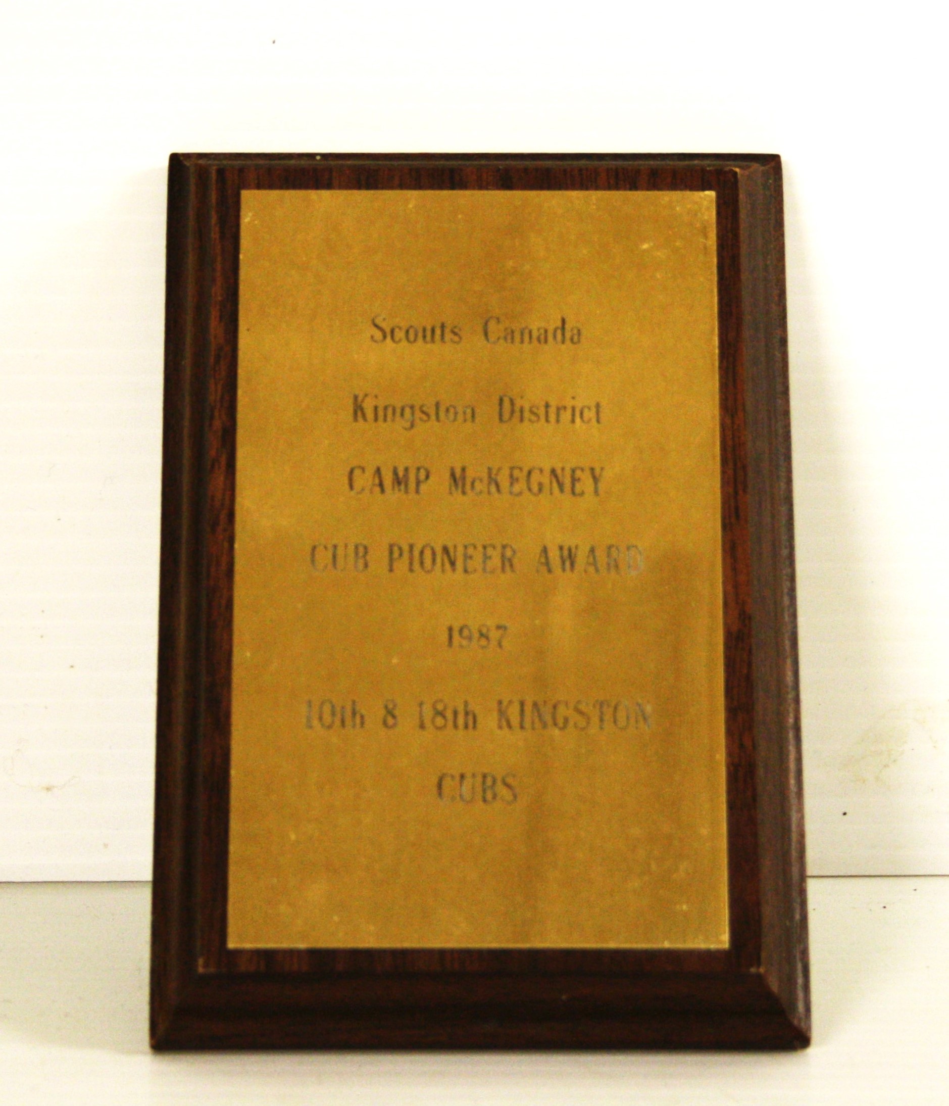 Cub Pioneer Award